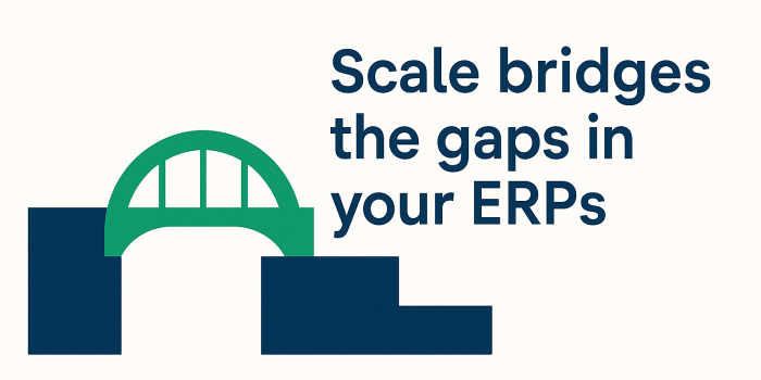 Scale Bridge